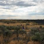 OTRA2013_1164 (July 15, 2013)